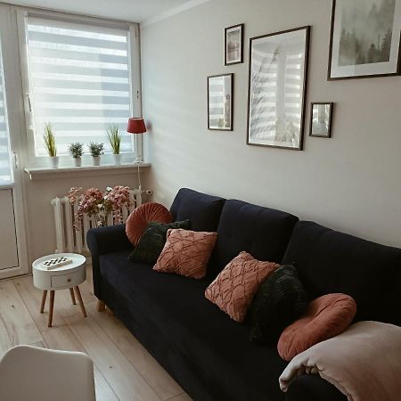 Apartament W Polanicy Διαμέρισμα Polanica-Zdrój Εξωτερικό φωτογραφία